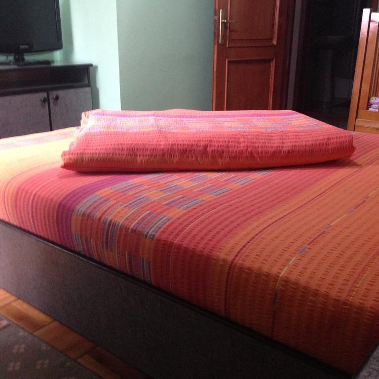 Motel Buti Sighetu Marmaţiei Værelse billede
